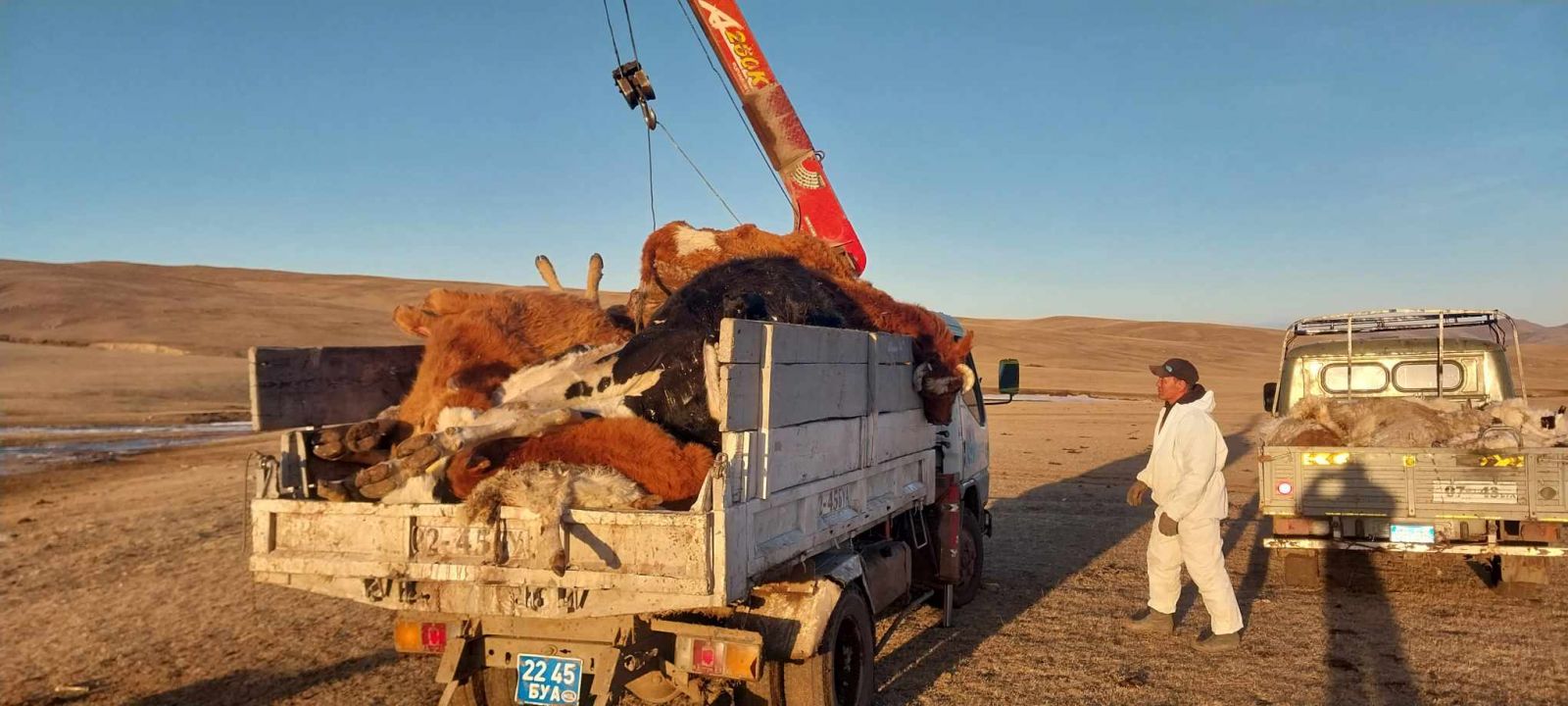 Булган аймгийн Байгаль орчны газар